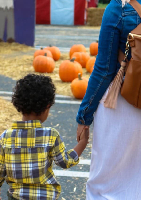 Fawn Design Diaper Bag Review