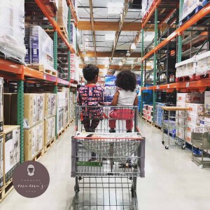 BinxyBaby Target Shopping Cart Hammock Convenience Costco Tried & Tested Baby Gear