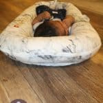 Must Have Baby Product, Cosleeper, Lounger, Baby Product, Dockatot www.throughmamaseyes #babylounger #babysleep #dockatot