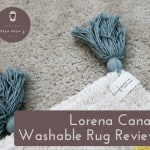 Lorena Canals Washable Rug Review