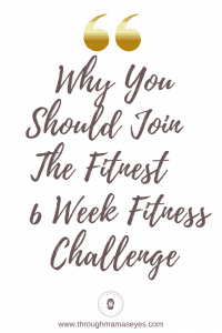 HIIT, The Fitnest, 6 Week Fitness Challenge, Zehra Allibhai, Postpartum Fitness, Health, Eat Healthier, Exercise