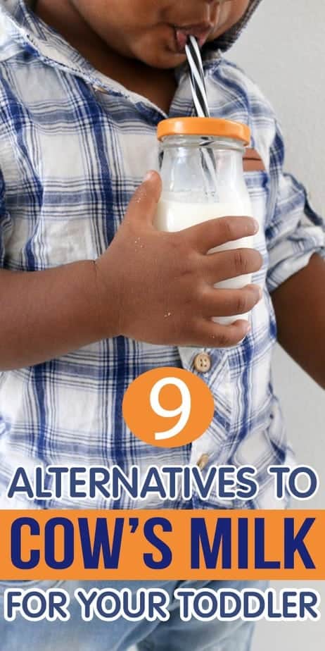 9 Of The Best Alternatives To Cow S Milk For Photo Inspiration